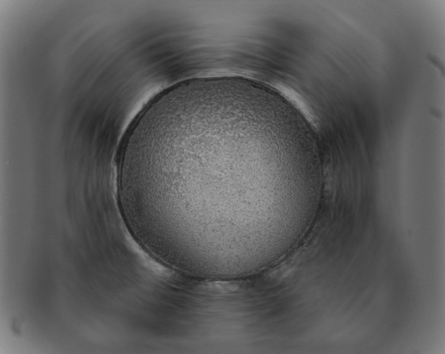 X0000091511476200709070942