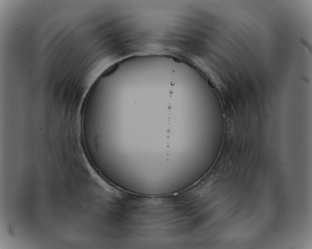 X0000091511479200709070942