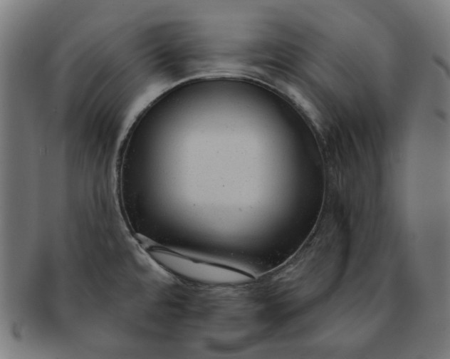 X0000091511480200709070942