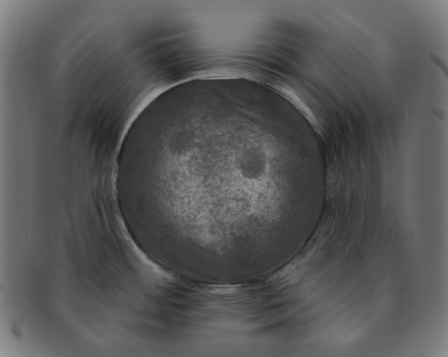 X0000091511484200709070942