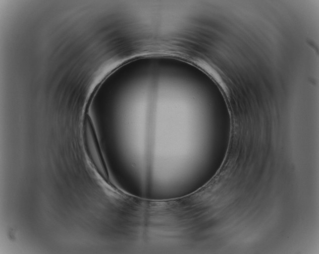 X0000091511485200709070942