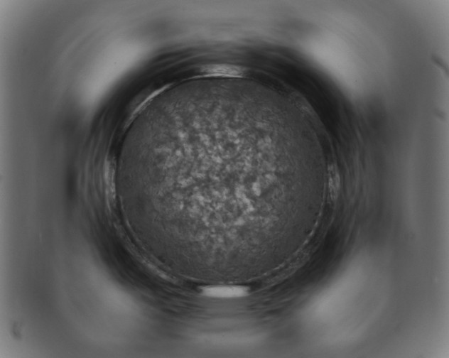 X0000091511487200709070942