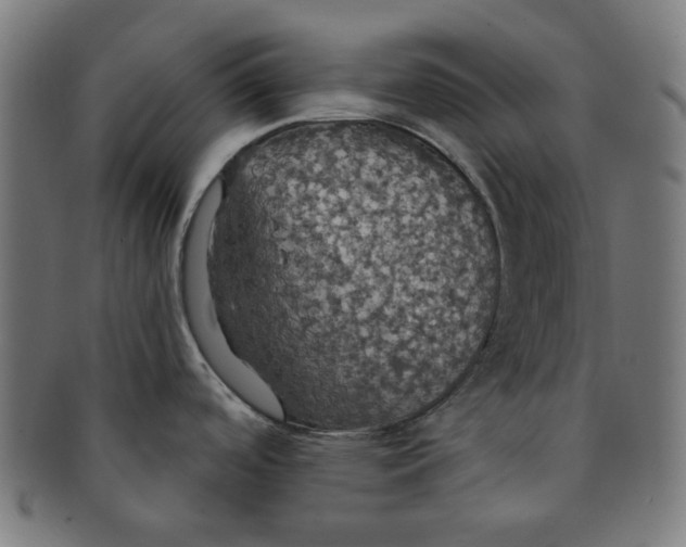 X0000091511488200709070942