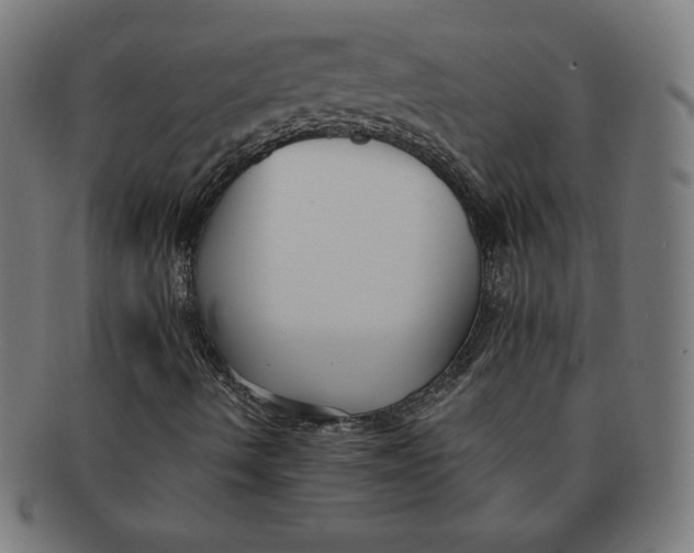 X0000091511490200709070941