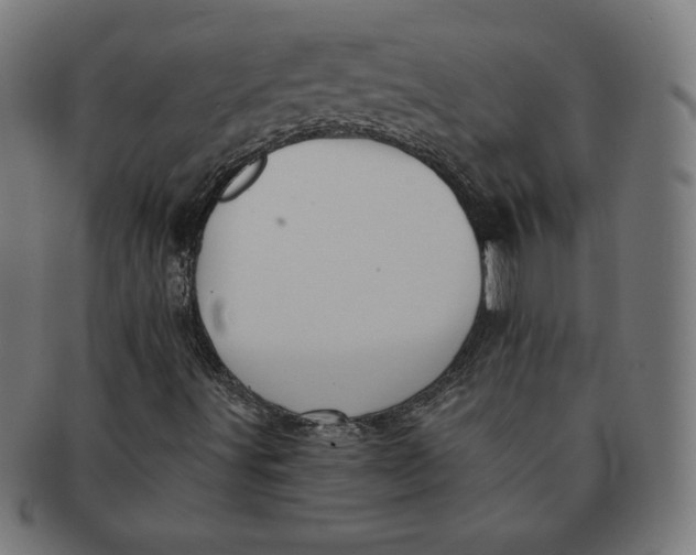 X0000091511491200709070941