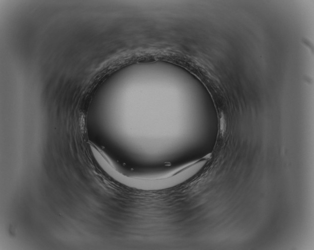 X0000091511492200709070941