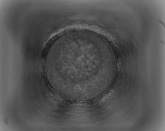 X0000091511494200709070941