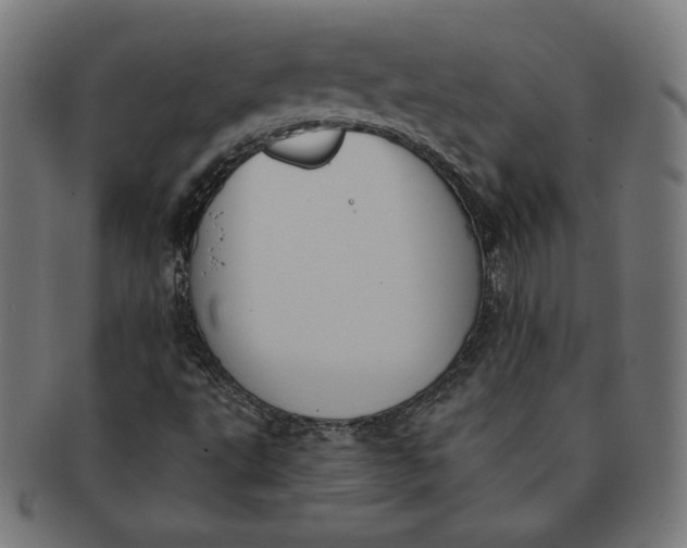 X0000091511495200709070941