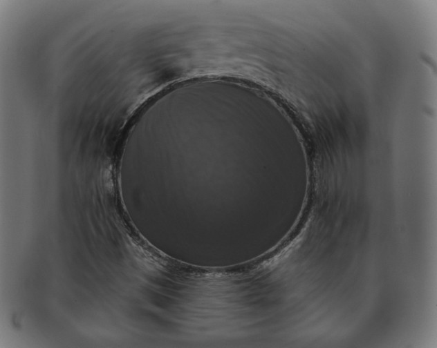 X0000091511497200709070941