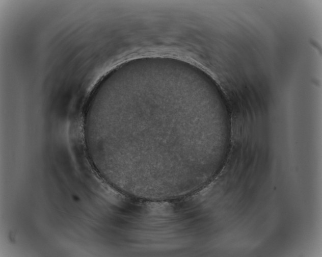 X0000091511498200709070941