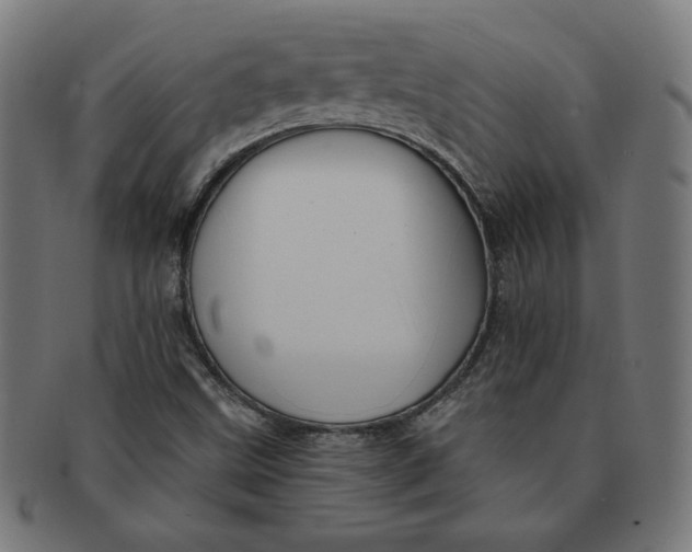 X0000091511499200709070941