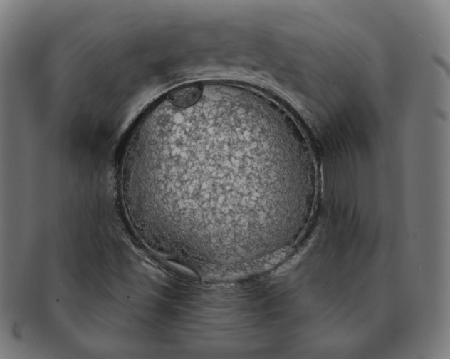 X0000091511501200709070941