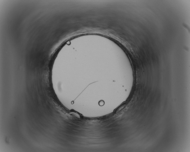 X0000091511502200709070941