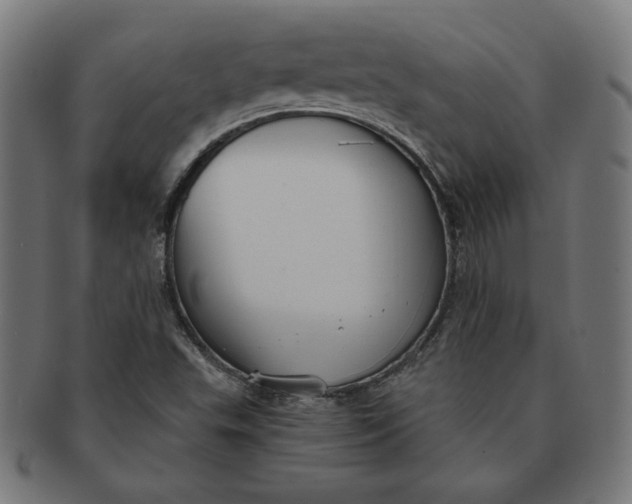 X0000091511503200709070941