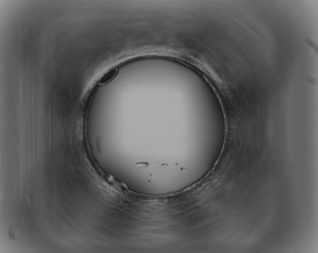 X0000091511504200709070941