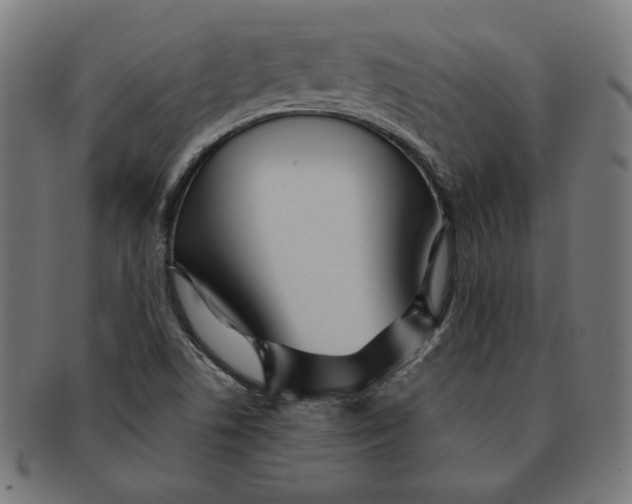 X0000091511506200709070941