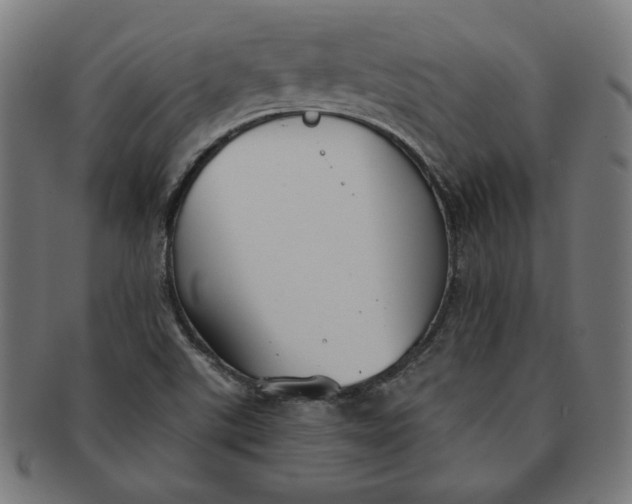 X0000091511507200709070941