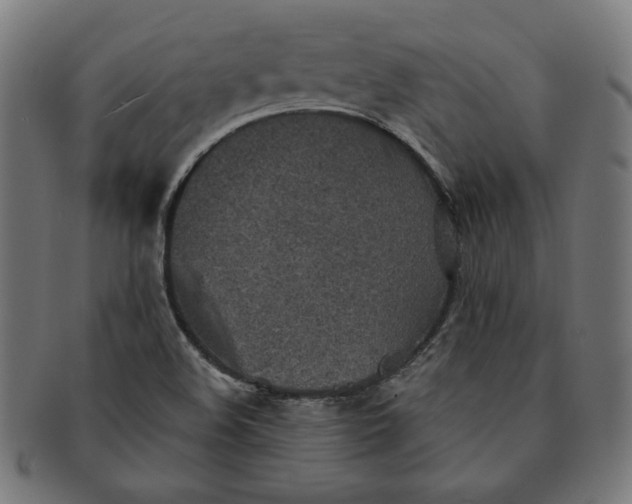 X0000091511508200709070941