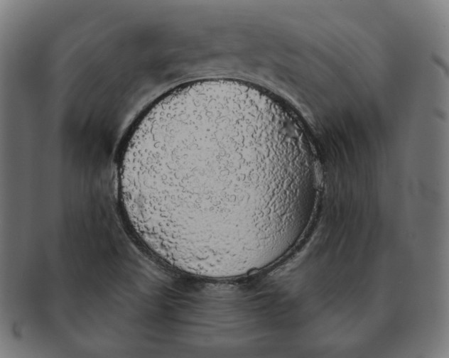 X0000091511509200709070941