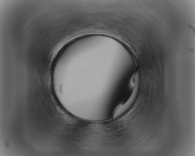 X0000091511511200709070941