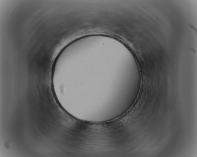 X0000091511512200709070941