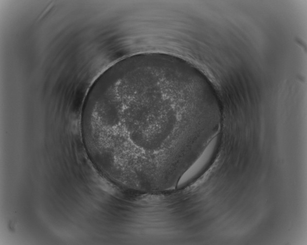 X0000091511513200709070941