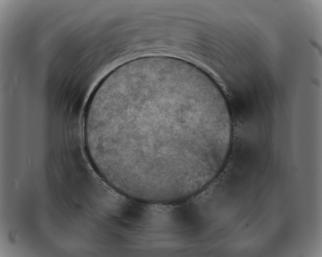 X0000091511514200709070941