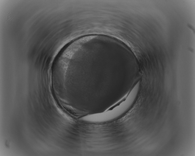 X0000091511515200709070941