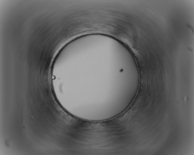 X0000091511516200709070941