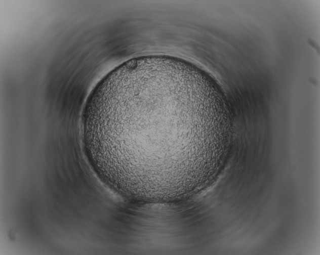 X0000091511517200709070941