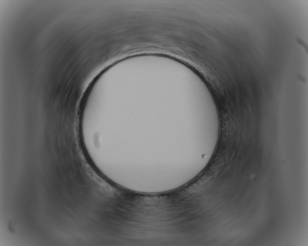 X0000091511518200709070941