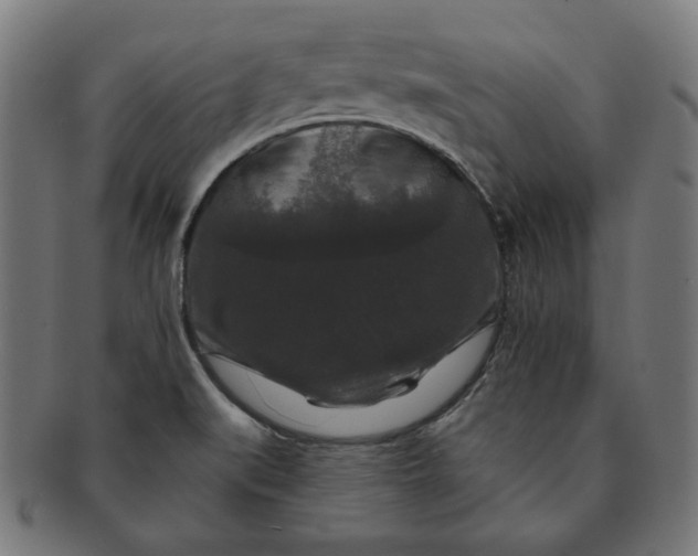 X0000091511519200709070941