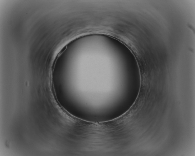 X0000091511520200709070941