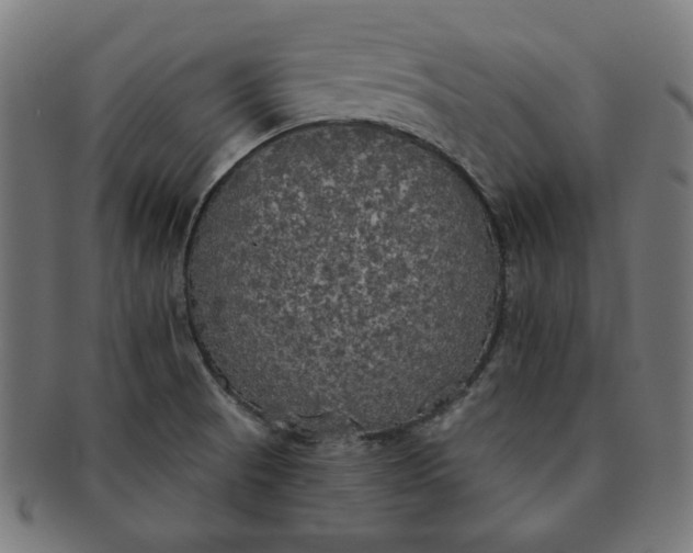 X0000091511521200709070941