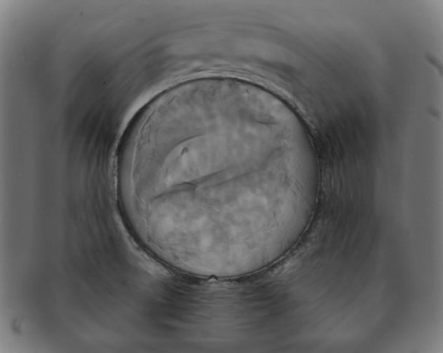 X0000091511522200709070941