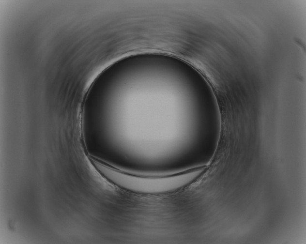 X0000091511524200709070941