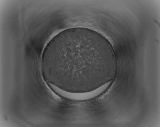 X0000091511525200709070941