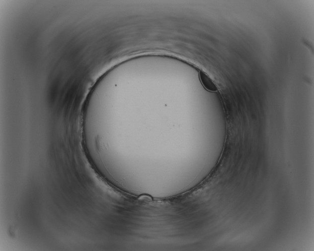 X0000091511526200709070941