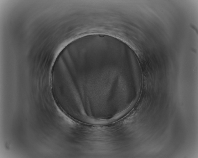 X0000091511527200709070941