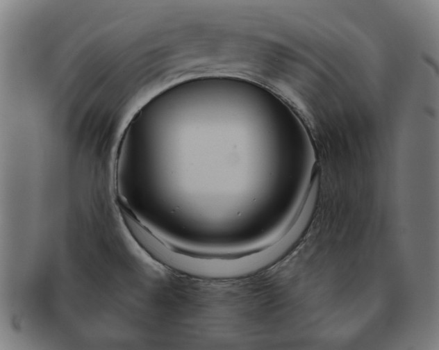 X0000091511528200709070941