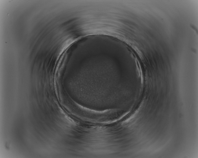 X0000091511529200709070942