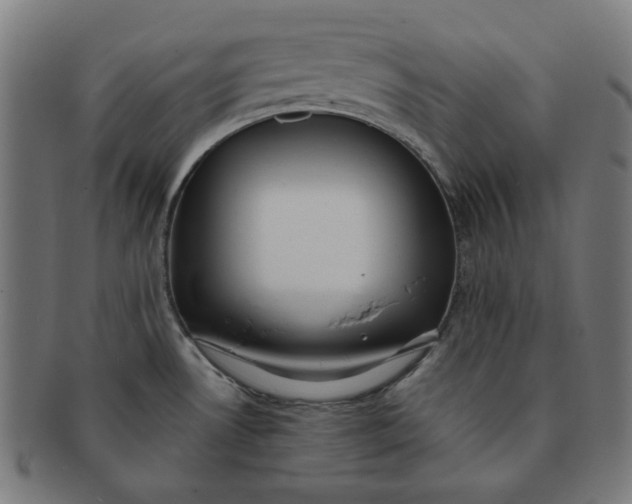 X0000091511530200709070942