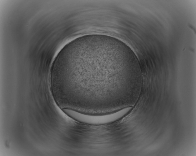 X0000091511531200709070942