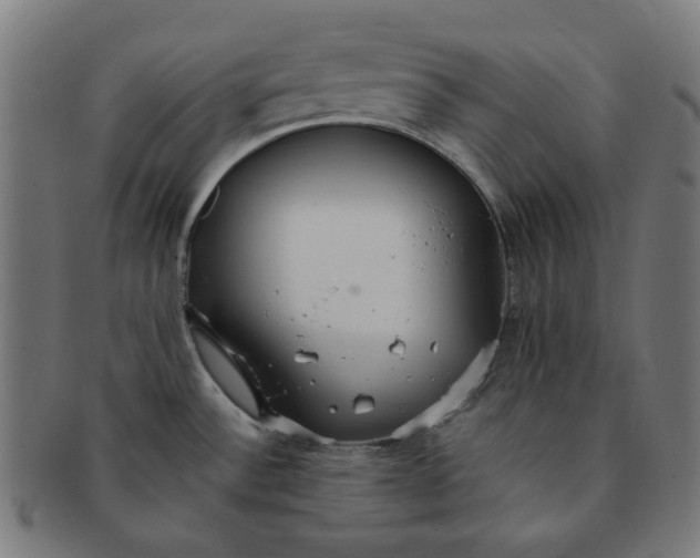 X0000091511532200709070942