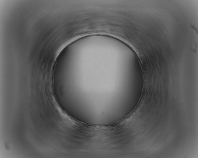 X0000091511534200709070942