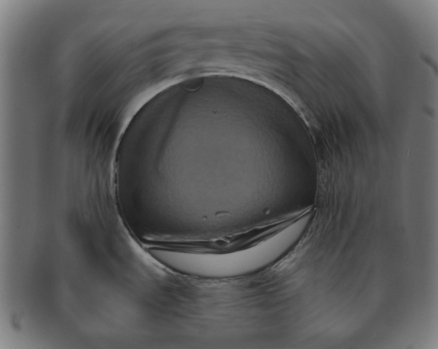 X0000091511535200709070942