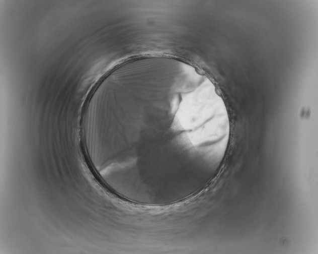 X0000091510002200709141404