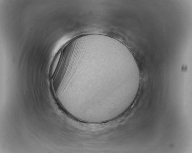 X0000091510006200709141404