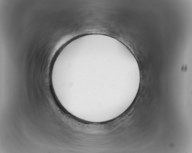 X0000091510008200709141404