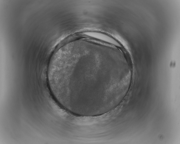 X0000091510009200709141404